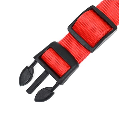 Ошейник с подсветкой Двойная полоса размер XL, ОШ 52-60×2.5 см, 3 режима свечения красный