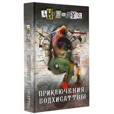 АСТ Анонимус "Приключения бодхисаттвы"