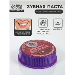Зубная паста 5 Star Cosmetic с травами и экстрактом мангостина, 25 г