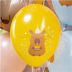 Шар (12''/30 см) Капибары, С Днем Рождения!, Ассорти, пастель, 2 ст, 25 шт.