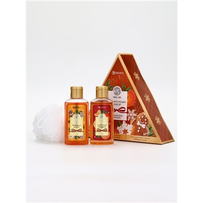 Подарочный набор новогодний: гель для душа 2 шт. × 100 мл, мочалка для тела, аромат мандарин и тыква, URAL LAB