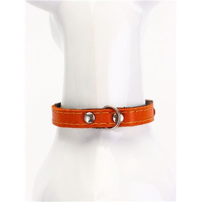 Ошейник, 30.5×1.2 см, ОШ 20-27 см, однослойный, неукрашенный, на фетре, кожа, оранжевый