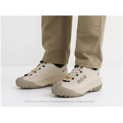 Кроссовки Nike ACG Mountain Fly Low