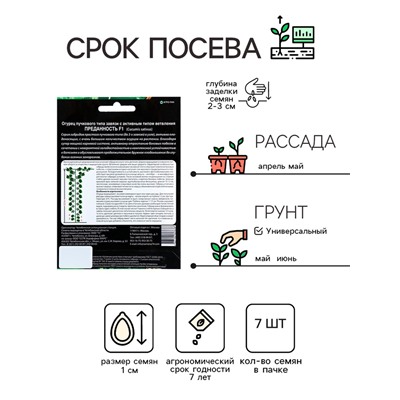 Семена Огурец "Преданность" F1 пучкового типа завязи, партенокарпический, 7 шт