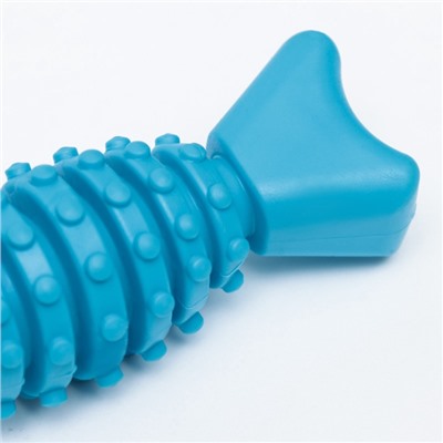 Игрушка жевательная «Конфетка», TPR, 12 см, голубая