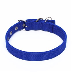 Ошейник двухслойный с вертлюгом, 55×2.5 см, полиэстер, синий