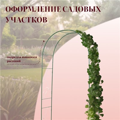Арка садовая, 240×120×36 см, для вьющихся растений, металлическая, зелёная, «Вьюнок»
