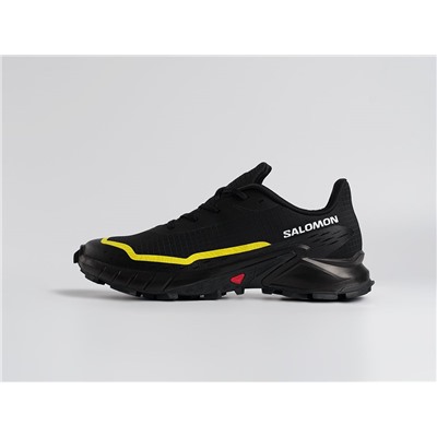Кроссовки Salomon Alphacross 5 GTX