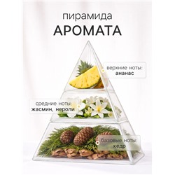 Наполнитель для ароматического диффузора XO The Glow, 100 мл