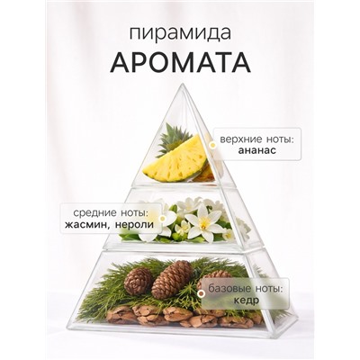 Наполнитель для ароматического диффузора XO The Glow, 100 мл