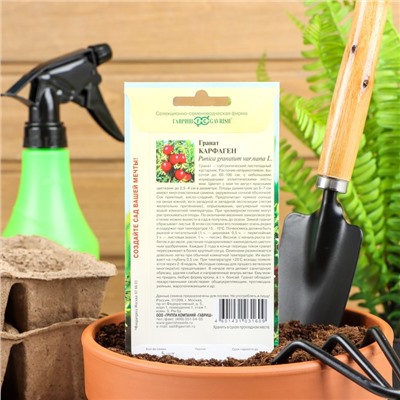 Семена комнатных цветов Гранат «Карфаген», 5 шт., «Гавриш»