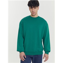 СВИТШОТ МУЖСКОЙ 121801/1