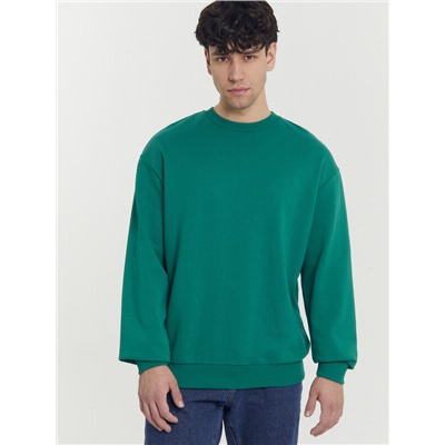 СВИТШОТ МУЖСКОЙ 121801/1