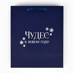 Пакет подарочный новогодний «Чудес в Новом году», голография, ML 23×11.5×27 см