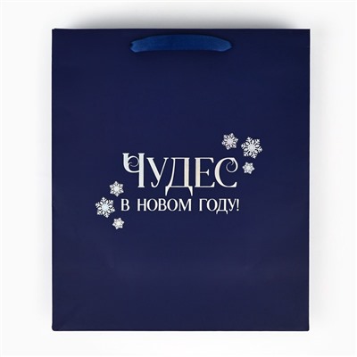 Пакет подарочный новогодний «Чудес в Новом году», голография, ML 23×11.5×27 см