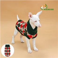 Свитер для животных «Шахматы», размер S, ДС 23, ОШ 23, ОГ 26-45 см, зелёный