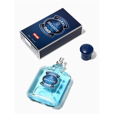 Туалетная вода мужская Brandy De Bleu, 100 мл