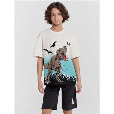 КОМПЛЕКТ ДЛЯ МАЛЬЧИКОВ (ДЖЕМПЕР, ШОРТЫ) 563327