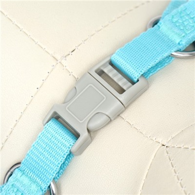 Комплект с мягкой шлейкой, быстросъемный, M, поводок 140 см, ОШ 44-48 ОГ 51-60 см, бирюзовый