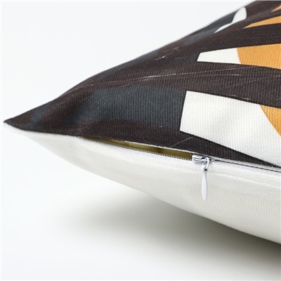 Набор декоративных наволочек Этель Morning 45×45 см - 2 шт., полиэстер, велюр