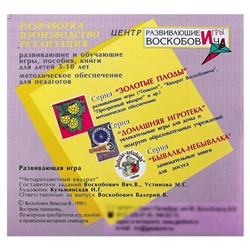 Развивающая игра «Квадрат Воскобовича», 4 цвета