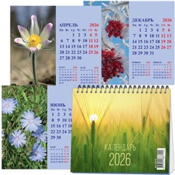 Календарь-домик настольный 2026 г. 120х110 мм на спирали "Времена года" 22с13 Полином