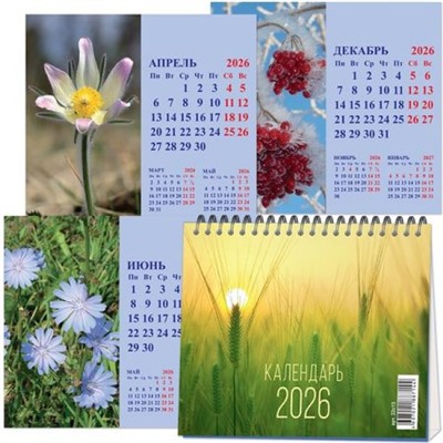 Календарь-домик настольный 2026 г. 120х110 мм на спирали "Времена года" 22с13 Полином