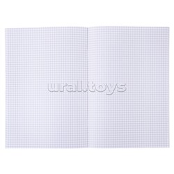 Бизнес блокнот "Attomex. Visa" A4 (210 ммx290 мм) 120 стр, белая бумага 70 г/м² в клетку, печать в 1 краску, твердая обложка из искусственной кожи с поролоном, отстрочка, 1 ляссе, в термоусадочной пленке, черный