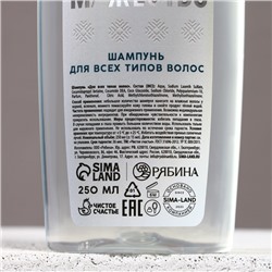 Подарочный набор новогодний «Возможности безграничны»: гель для душа и шампунь для волос, 2×250 мл, Чистое счастье
