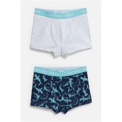 Трусы, 2 шт. ACOOLA, 1064782