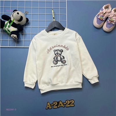 кофта с начесом 1822391-3