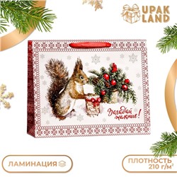 Пакет подарочный ламинированный горизонтальный «Белочка!», 49×40×19 см