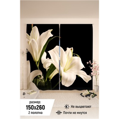 Натали Шторы 10837