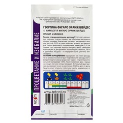 Семена цветов Георгина Фигаро Оранж Шейдес Агроуспех 7шт (400)