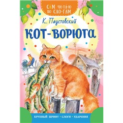 АСТ Паустовский К.Г. "Кот-ворюга"