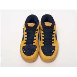 Кроссовки Nike SB Force 58