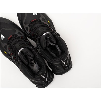 Зимние Ботинки Adidas Terrex Winter