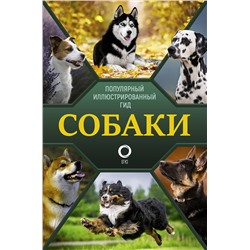 АСТ Барановская И.Г., Вайткене Л.Д., Хомич Е.О. "Собаки. Популярный иллюстрированный гид"