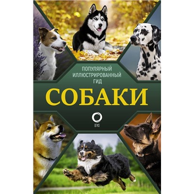 АСТ Барановская И.Г., Вайткене Л.Д., Хомич Е.О. "Собаки. Популярный иллюстрированный гид"