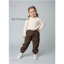 брюки 2053606-2