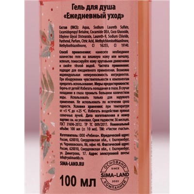 Новогодний подарочный набор косметики «Исполнения желаний»: гель для душа 100 мл и мочалка для тела, Чистое счастье