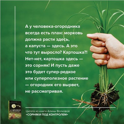 АСТ Алена Волкова "Сорняки под контролем. Избавляемся от нежелательных соседей"