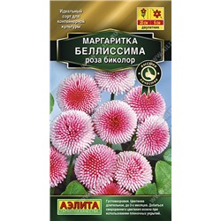 1635A Маргаритка Беллиссима роза биколор 7 шт