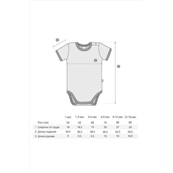 Боди, 2 шт. BOSSA NOVA, 776462