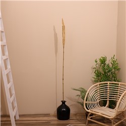 Сухоцвет «Пати», 180 см, натуральный