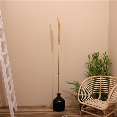 Сухоцвет «Пати», 180 см, натуральный