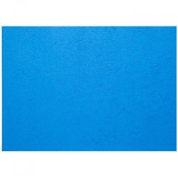 Обложка для переплета А4 100 шт. 230 г/м2 синяя под кожу COV-LTHR/Bl LITE