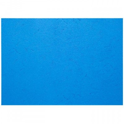 Обложка для переплета А4 100 шт. 230 г/м2 синяя под кожу COV-LTHR/Bl LITE