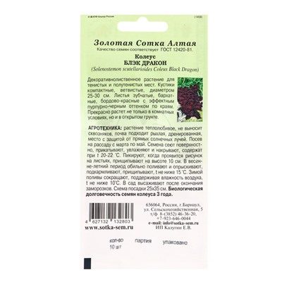 Семена комнатных цветов Колеус «Блэк Дракон», 10 шт., бордовый, «Золотая Сотка Алтая» селекция PanAmerican Seed