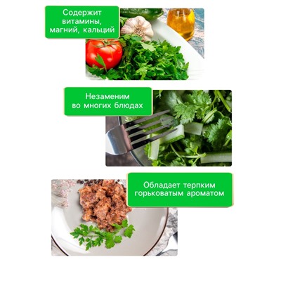 Семена Кориандр «Янтарь», 5 г, «Рецепты дедушки Никиты»